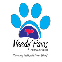 Needy Paws Animal Shelter logo, Needy Paws Animal Shelter contact details