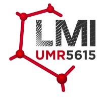 Laboratoire des Multimatériaux et Interfaces logo, Laboratoire des Multimatériaux et Interfaces contact details