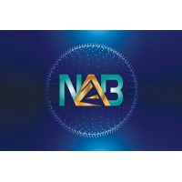 Nadin Andishan Borna logo, Nadin Andishan Borna contact details