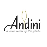 Andini logo, Andini contact details