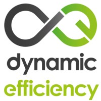 Dynamic Efficiency logo, Dynamic Efficiency contact details