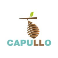 Capullo school of fine arts & designs Pvt ltd logo, Capullo school of fine arts & designs Pvt ltd contact details