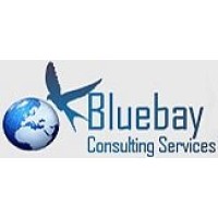 BlueBay Consulting logo, BlueBay Consulting contact details