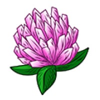 Red Clover Software Services logo, Red Clover Software Services contact details