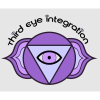 THIRD EYE INTEGRATION, LLC logo, THIRD EYE INTEGRATION, LLC contact details