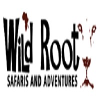 Wild Root Safaris logo, Wild Root Safaris contact details