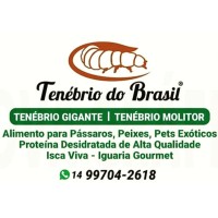 🪲🐛Tenebrio Do Brasil 🇧🇷 logo, 🪲🐛Tenebrio Do Brasil 🇧🇷 contact details