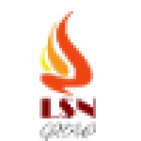 LSN Consulting & Accounting logo, LSN Consulting & Accounting contact details