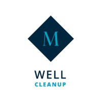 Well Cleanup AS logo, Well Cleanup AS contact details