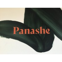 Panashe Real Estate Asheville logo, Panashe Real Estate Asheville contact details