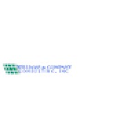 Williams & Company Consulting, Inc. logo, Williams & Company Consulting, Inc. contact details