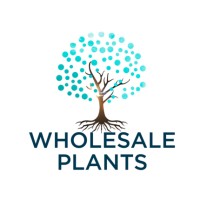 Wholesale Plants logo, Wholesale Plants contact details