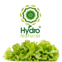 HydroNatural logo, HydroNatural contact details