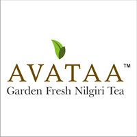 Avataa Tea logo, Avataa Tea contact details