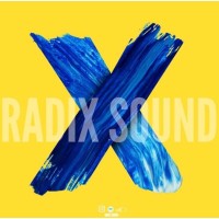 RadixSound logo, RadixSound contact details