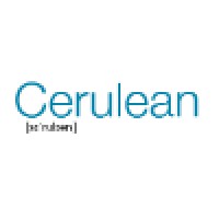 Cerulean Management Solutions Limited logo, Cerulean Management Solutions Limited contact details