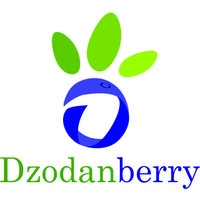 DzodanBerry logo, DzodanBerry contact details