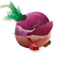 The Layered Onion logo, The Layered Onion contact details