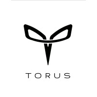 Torus Robotics Pvt Ltd logo, Torus Robotics Pvt Ltd contact details