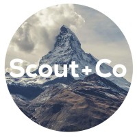 Scout&Co-Explorations logo, Scout&Co-Explorations contact details