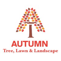 Autumn Tree Lawn and Landscape logo, Autumn Tree Lawn and Landscape contact details