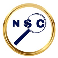 NetSysCon Consulting (We hire for high growth start-ups) logo, NetSysCon Consulting (We hire for high growth start-ups) contact details