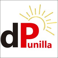 Diario de Punilla logo, Diario de Punilla contact details