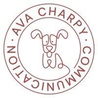 Ava Charpy Agence Web logo, Ava Charpy Agence Web contact details