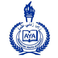 AMERICAN YOUTH ACADEMY logo, AMERICAN YOUTH ACADEMY contact details