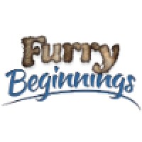 Furry Beginnings Pet Spa, Wash and Boutique logo, Furry Beginnings Pet Spa, Wash and Boutique contact details