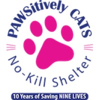 PAWSitively CATS logo, PAWSitively CATS contact details