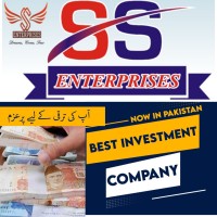 SS ENTERPRISES logo, SS ENTERPRISES contact details