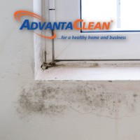 AdvantaClean of Southwest Minneapolis logo, AdvantaClean of Southwest Minneapolis contact details