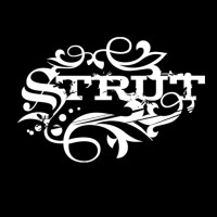 Strut NYC logo, Strut NYC contact details