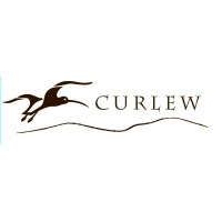 Curlew Consulting logo, Curlew Consulting contact details