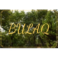 Bulaq logo, Bulaq contact details