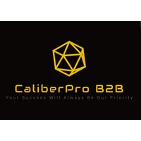 CaliberPro B2B logo, CaliberPro B2B contact details