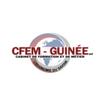 CFEM GUINEE logo, CFEM GUINEE contact details