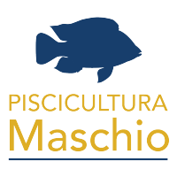 Piscicultua Maschio logo, Piscicultua Maschio contact details