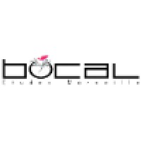 BOCAL Etudes logo, BOCAL Etudes contact details