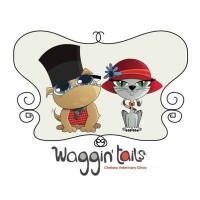 Waggin' Tails London Ltd. logo, Waggin' Tails London Ltd. contact details