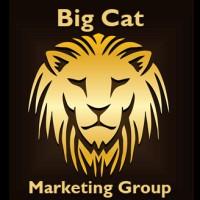 BigCatMarketingGroup.com logo, BigCatMarketingGroup.com contact details