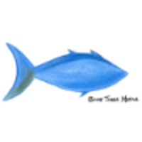 Blue Tuna Consulting logo, Blue Tuna Consulting contact details