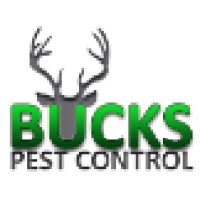 Bucks Pest Control logo, Bucks Pest Control contact details