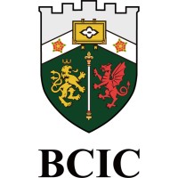 BCIC Ltd. logo, BCIC Ltd. contact details