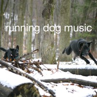 Running Dog Music logo, Running Dog Music contact details