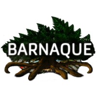 Barnaque logo, Barnaque contact details