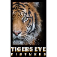 Tigers Eye Pictures logo, Tigers Eye Pictures contact details