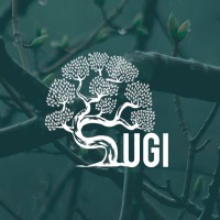 Sugi Tree Studio logo, Sugi Tree Studio contact details