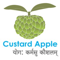 Custard Apple Pictures logo, Custard Apple Pictures contact details